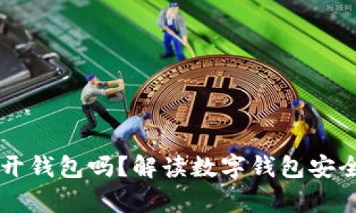 只有助记词可以打开钱包吗?解读数字钱包安全与访问的多种方式