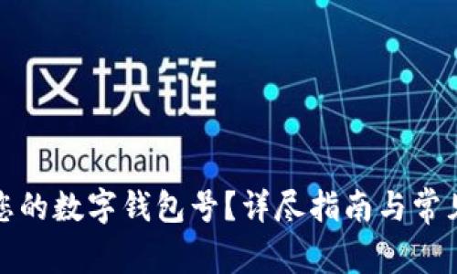 如何查询您的数字钱包号?详尽指南与常见问题解答