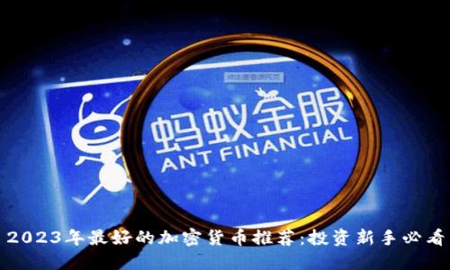 2023年最好的加密货币推荐:投资新手必看