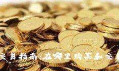 VV币交易指南：在哪里购买