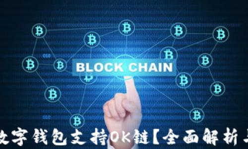 哪些数字钱包支持OK链?全面解析与推荐
