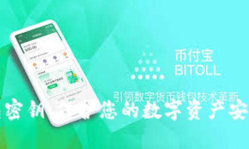 区块链冷钱包密钥:保护您的数字资产安全的最佳选择