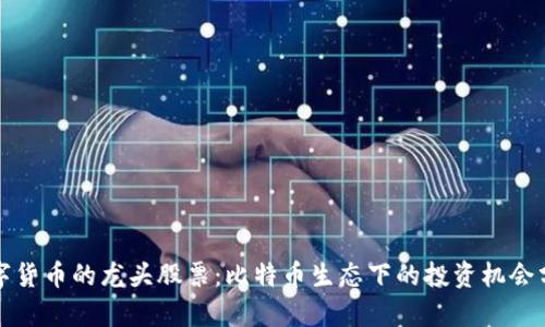 数字货币的龙头股票:比特币生态下的投资机会分析