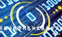 全面解析国内数字钱包的