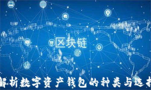 全面解析数字资产钱包的种类与选择指南