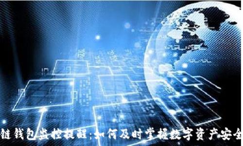 区块链钱包监控提醒:如何及时掌握数字资产安全动态