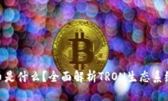## TRX币是什么？全面解析