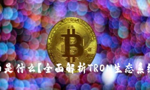 ## TRX币是什么?全面解析TRON生态系统及其影响