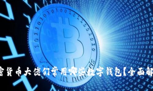 加密货币大佬们常用哪些数字钱包?全面解析!