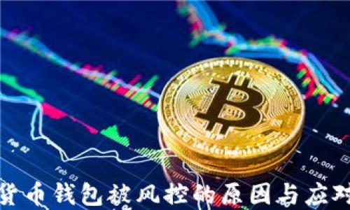 数字货币钱包被风控的原因与应对策略