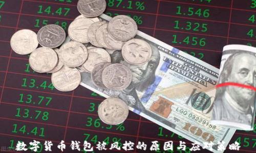 数字货币钱包被风控的原因与应对策略