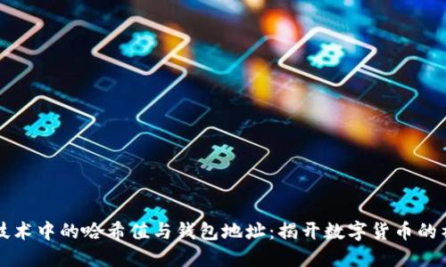 区块链技术中的哈希值与钱包地址：揭开数字货币的神秘面纱
