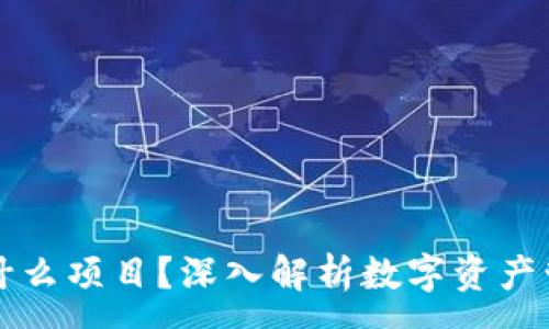 :
TP钱包是什么项目？深入解析数字资产管理的未来