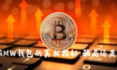 区块链GMW钱包的真相揭秘