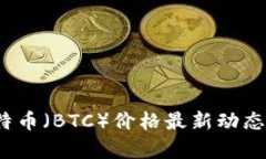 2023年比特币（BTC）价格最