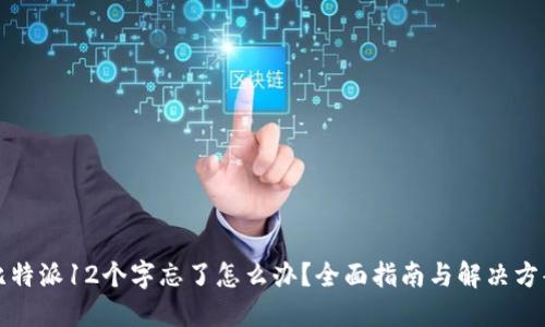 比特派12个字忘了怎么办?全面指南与解决方案