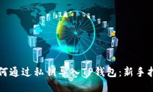 如何通过私钥导入TP钱包：新手指南