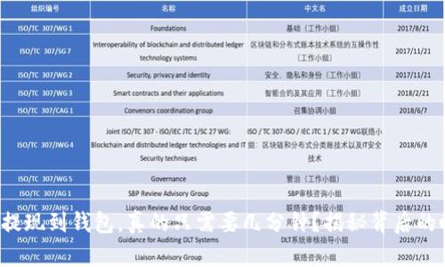 数字货币提现到钱包,真的只需要几分钟?揭秘背后的时间奥秘!
