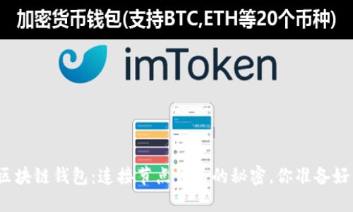 探秘区块链钱包:连接节点背后的秘密,你准备好了吗?