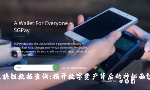 区块链数据查询:揭开数字资产背后的神秘面纱?