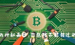 揭开USDT钱包的神秘面纱：