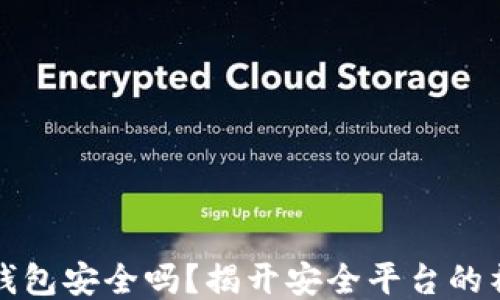 区块链钱包安全吗?揭开安全平台的神秘面纱
