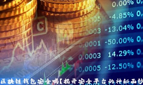 区块链钱包安全吗?揭开安全平台的神秘面纱