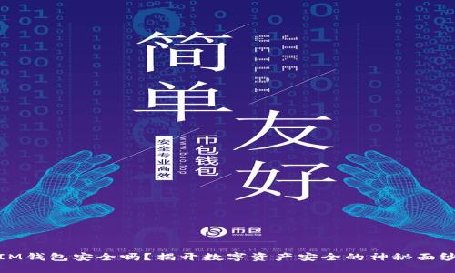 IM钱包安全吗?揭开数字资产安全的神秘面纱