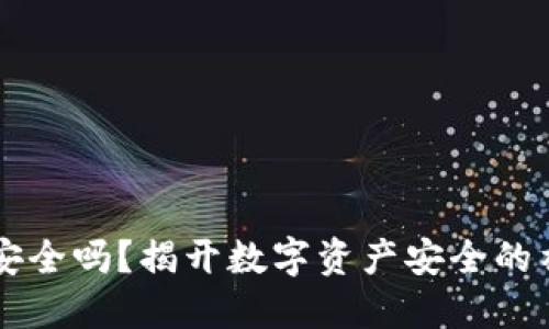 IM钱包安全吗?揭开数字资产安全的神秘面纱