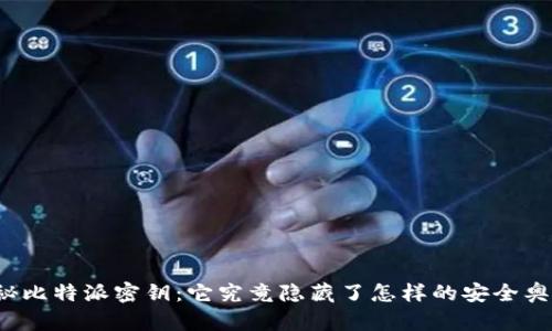 揭秘比特派密钥：它究竟隐藏了怎样的安全奥秘？
