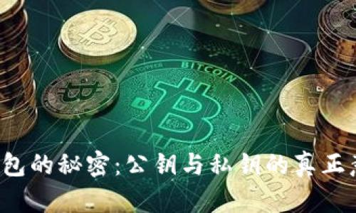 解密加密钱包的秘密:公钥与私钥的真正意义是什么?