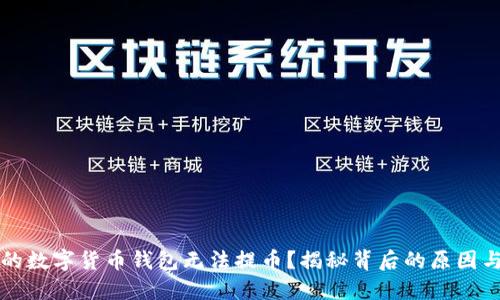 为什么你的数字货币钱包无法提币？揭秘背后的原因与解决方案