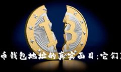 揭秘加密货币钱包地址的