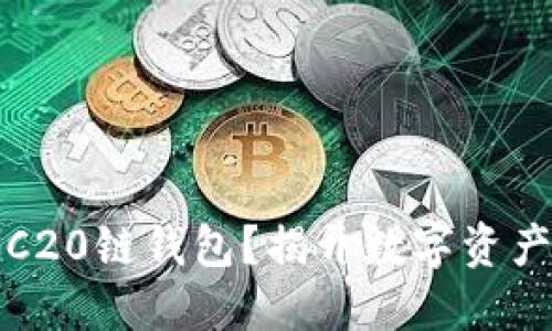 如何轻松创建TRC20链钱包？揭开数字资产管理的神秘面纱