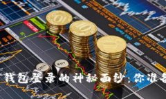 揭开数字钱包登录的神秘