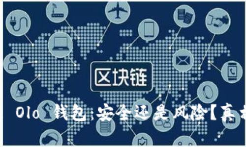 区块链 Olo 钱包:安全还是风险?真相揭晓!