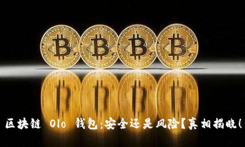 区块链 Olo 钱包:安全还是风险?真相揭晓!