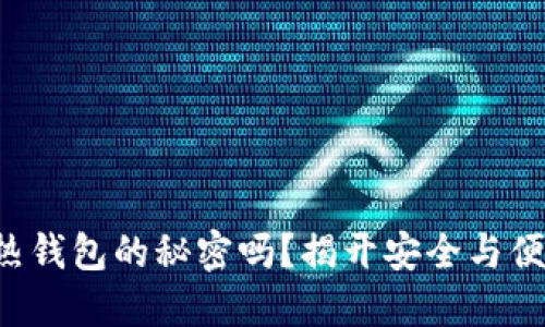 你知道区块链热钱包的秘密吗?揭开安全与便利的神秘面纱!