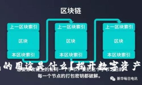 虚拟币钱包的用途是什么?揭开数字资产的神秘面纱