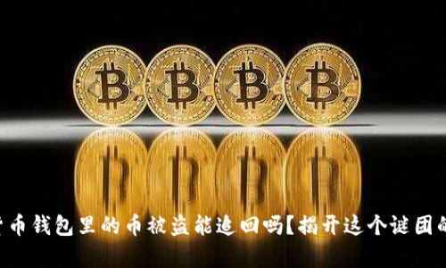 虚拟货币钱包里的币被盗能追回吗?揭开这个谜团的真相!