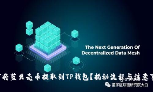 如何将蓝贝壳币提取到TP钱包?揭秘流程与注意事项!