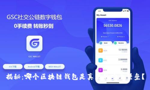 揭秘:哪个区块链钱包是真正的安全堡垒?