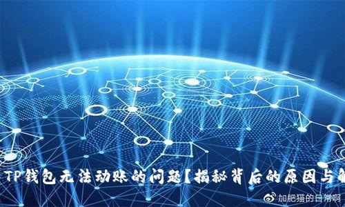 如何解决TP钱包无法动账的问题?揭秘背后的原因与解决方案!