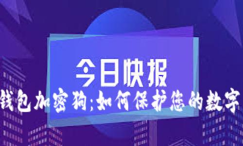 电子钱包加密狗：如何保护您的数字财富？