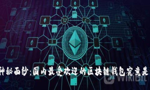 揭开神秘面纱:国内最受欢迎的区块链钱包究竟是什么?