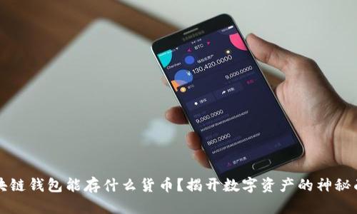 区块链钱包能存什么货币?揭开数字资产的神秘面纱