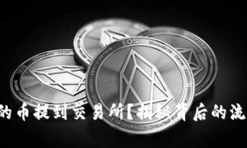 如何将钱包中的币提到交易所？揭秘背后的流程和注意事项！