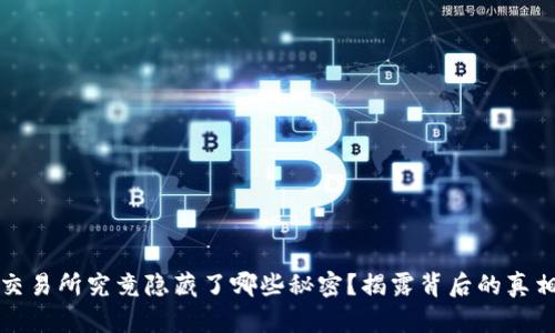虚拟币交易所究竟隐藏了哪些秘密?揭露背后的真相与风险