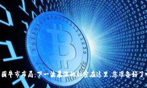币圈牛市布局：下一波暴涨的秘密在这里，您准备好了吗？