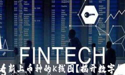 
如何在TP钱包中查看新上币种的K线图？揭开数字货币交易的神秘面纱！
